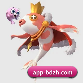 半岛综合 APP